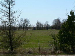 30 Acres, Caledon - Country Homes for sale and Luxury Real Estate in Caledon and King City including Horse Farms and Property for sale near Toronto